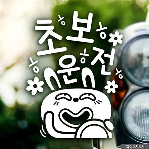 자동차스티커 ㅎㅎㅎ초보운전 키토 화이트시트지 차량용스티커