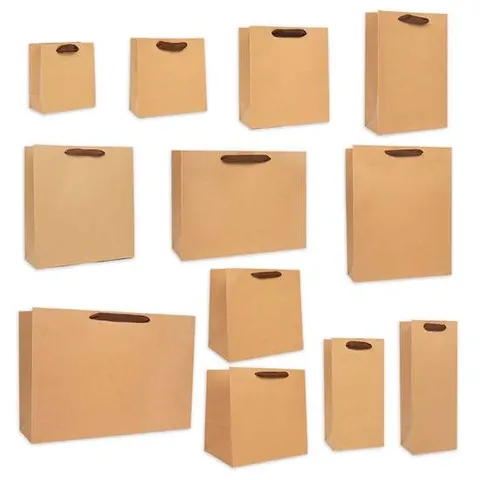 브라운 에코 종이쇼핑백 C1호~C2호-(20개입) 종이쇼핑백 손잡이쇼핑백 선물포장 선물쇼핑백 대용량