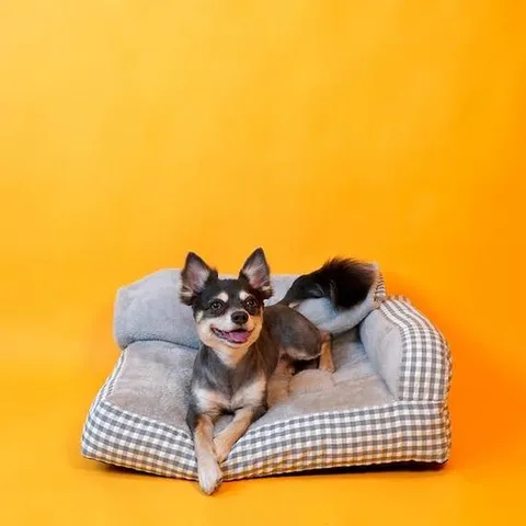 양면이불 탈부착가능 댕댕이 쇼파겸 침대 189570 선물용