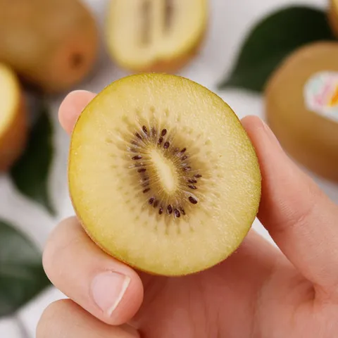 제스프리 제주 썬골드키위 특대과 15입 2.1kg