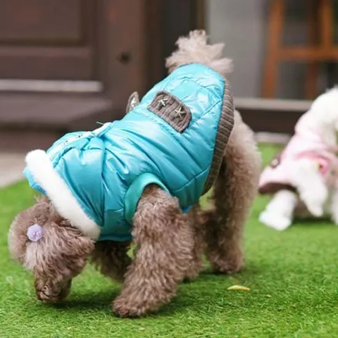 강아지점퍼 강아지 유광 패딩 블루S 입기 편한 옷 10초 강아지조끼