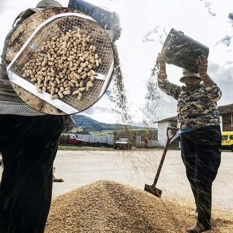 밭갈이 선별삽 곡물선별 삽 N3298 0.4cm
