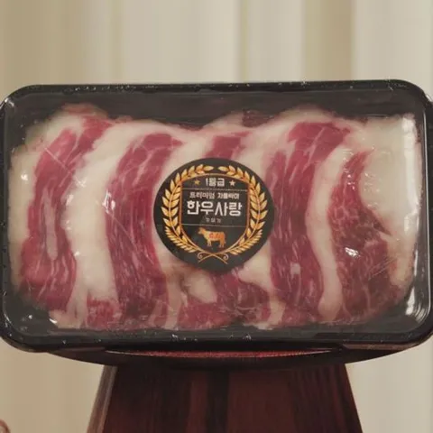 한우사랑 1등급이상 한우 차돌박이 170g * 9팩