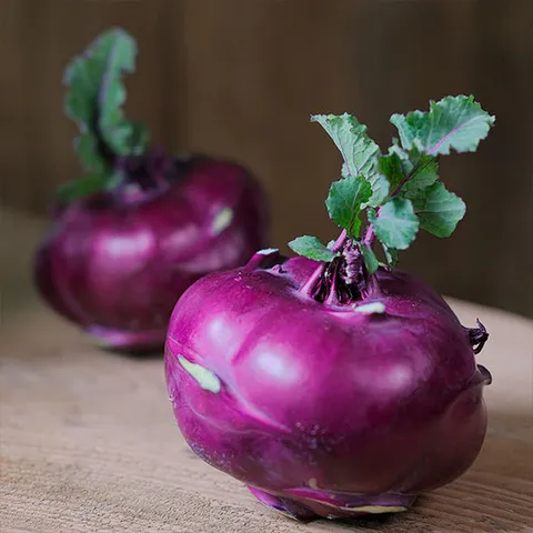 제주도 콜라비 3kg 사이즈혼합