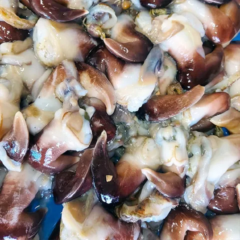 늘푸른 국내산 새조개 400g