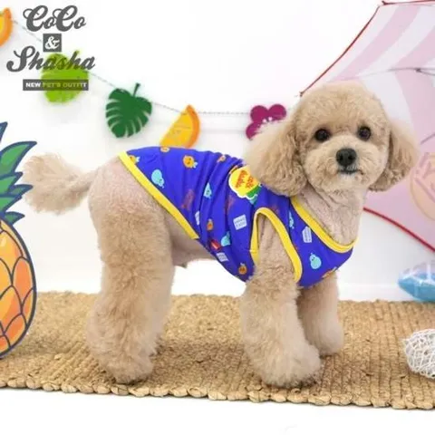 코코앤샤샤 레몬티셔츠(블루) 티셔츠 티셔츠브랜드 티셔츠순위 티셔츠인기 티셔츠구매 티셔츠베스트 티셔츠가격비교 티셔츠종류 티셔츠리뷰 티셔츠디자인