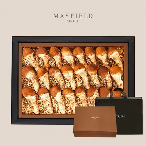 [메이필드호텔]지정농장 무농약 참송이버섯세트 1kg/26-30개 지함+보냉가방