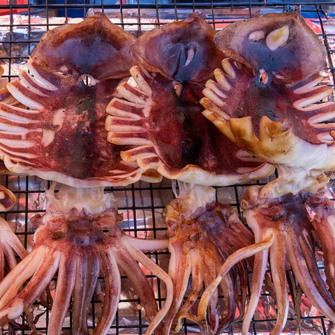 촉촉한 피데기 반건조 오징어 5마리 (중소/450g)