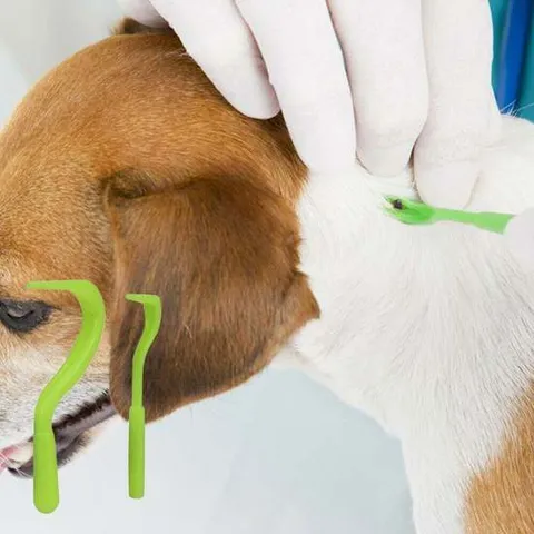 PET 강아지 진드기 제거 핀셋 집게 야외 산책 강아지진드기제거 강아지진드기제거핀셋 애견진드기제거 진드기제거핀셋 강아지진드기퇴치제 강아지진드기
