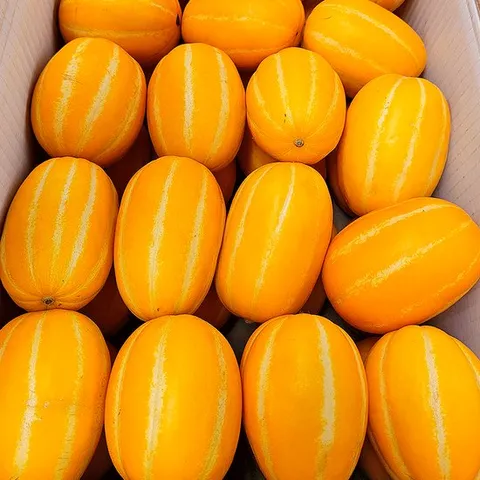 [자연의정] 성주 참외 고당도 정품 소과 10kg