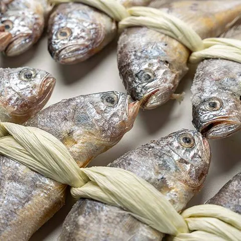 전라도청년 영광 굴비 장대 1.8kg 20미 (19cm내외) 기본포장