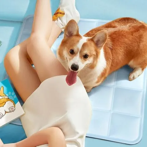 쿨젤매트 반려견 강아지 쿨매트 쿨 방석