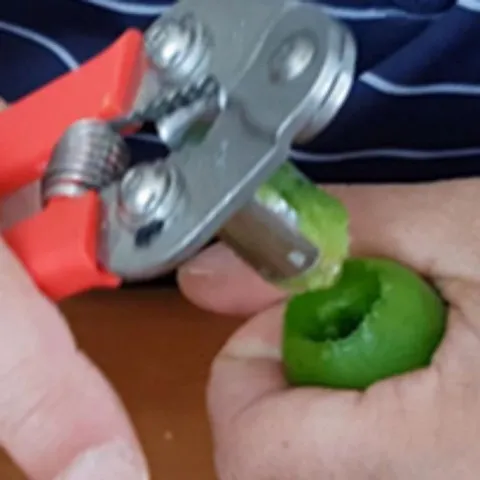 매실 씨 씨빼는기계 빼는기계 작두 씨앗