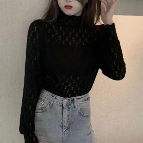 레이스 터틀넥 시스루 블라우스 여성