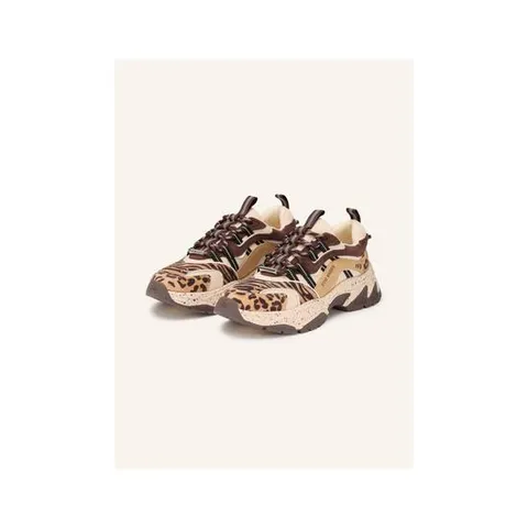 스티브매든 ANIMATES 스니커즈 100295522215000 TP575691804