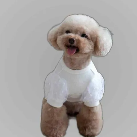 퍼프 샤 이너 티셔츠(S-3L)