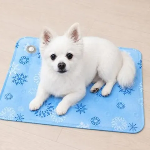 쿨링 데일리 2컬러 여름 간편 쿨 매트