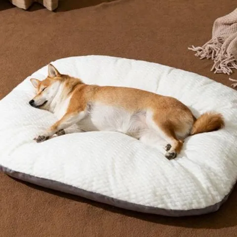 PET 강아지 방석 쿠션 꿀잠 무중력 방석