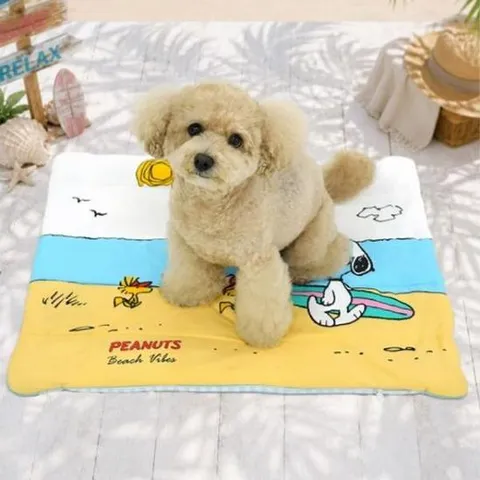 패리스독 피너츠비치아이스쿨매트