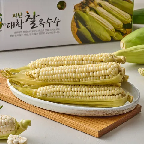 산지직송 괴산 대학찰옥수수 15개 대품(16cm내외)