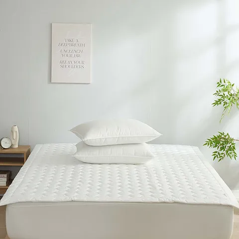 [ 롯데백화점 ][세사]엠브로 냉감 베개커버 50X70