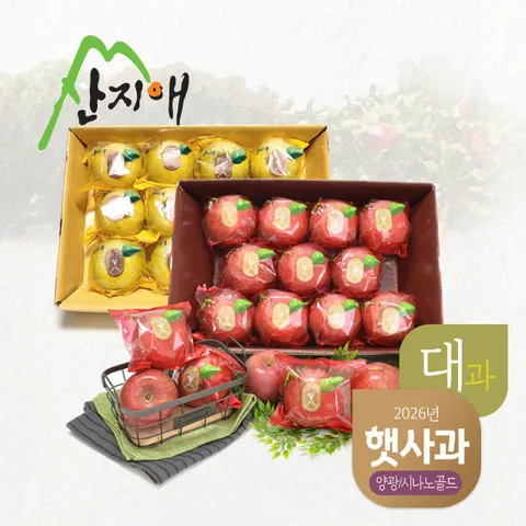 산지애 햇사과 양광 3kg + 시나노골드 3kg (3kg*2박스, 총 16~24과)