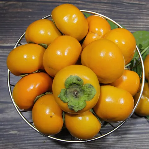 경남 단감 10kg(61-70과)