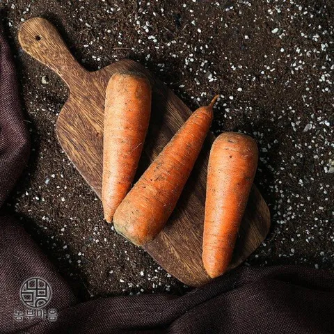 [농부마음] 제주 구좌 싱싱한 흙당근 3kg(중품)