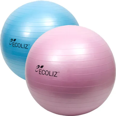 에코리즈 안티버스트 75cm짐볼 / 필라테스 요가 헬스 짐볼