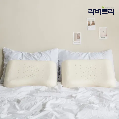 라버트리 2개세트 천연라텍스 땅콩형 기능성베개 폼