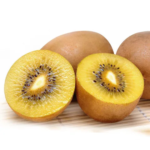 [남도의맛]  전라도 골드키위 3kg(55과이상)소과/쥬스용