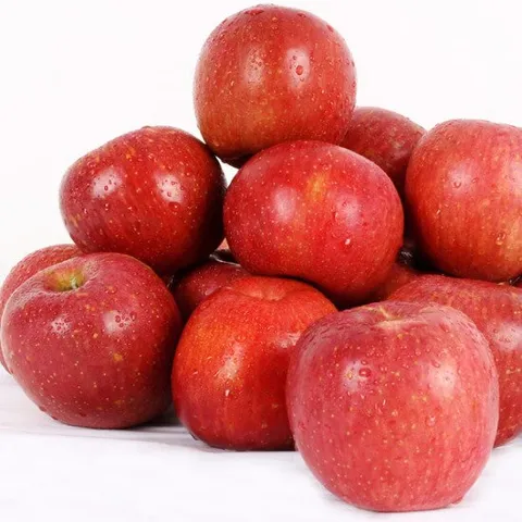 [25년 햇사과] [산지직송] 경북 의성 사과 부사 3kg(16~20과내외)