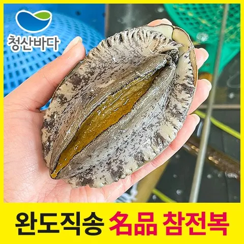 [청산바다] 완도 활전복 특대 8-9미 1kg