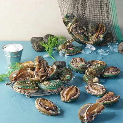 특대 활전복 10-11미 850g 산소포장(E1311A)_국내양식산