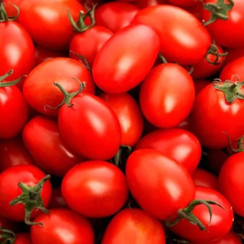 [우리가락]대추방울 750g 1팩