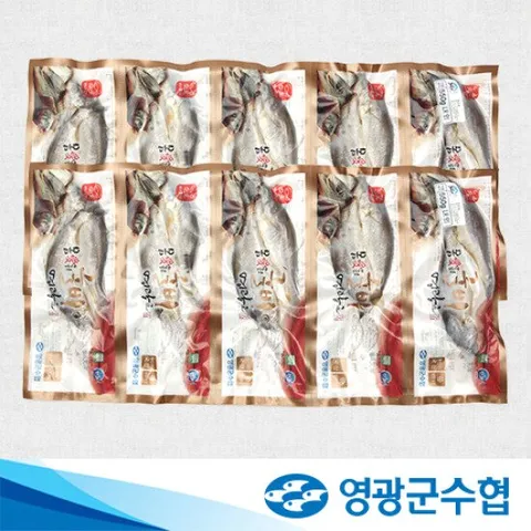 [영광군수협]몸愛좋은 국내산 영광굴비 40미 진공팩 (2.8㎏이상)