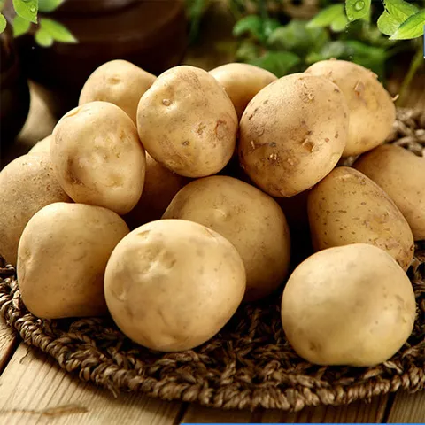 [2026년 첫수확] 국내산 하우스 햇 감자 3kg (중)