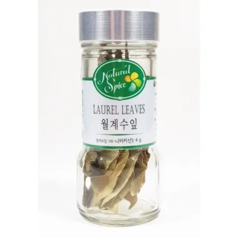 [ 현대백화점 ]라우엘(베이)리브즈 월계수