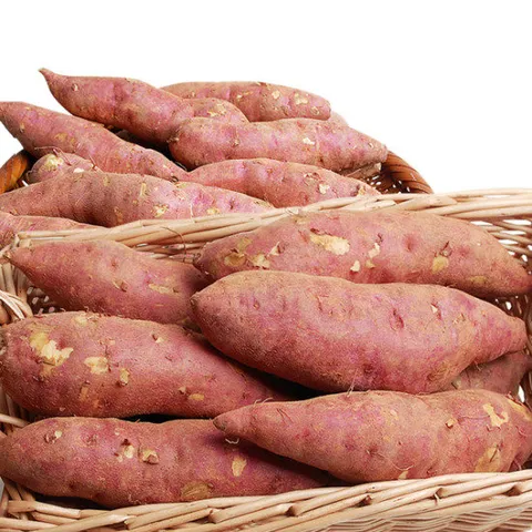 [농부손길]꿀 고구마_3kg(중_개당 60~100g)