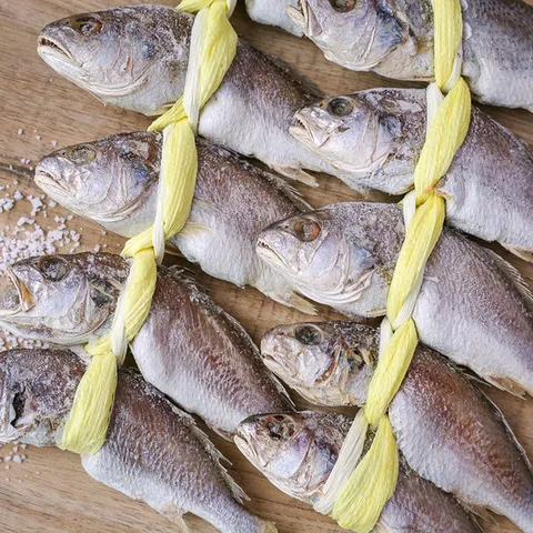 오동통 쫀득한 손질 굴비 10미 등갈민태(민어과) (마리당 150-170g내외)