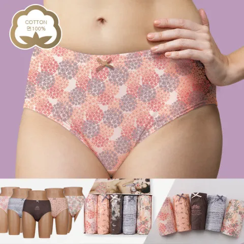 [진스타일] 여성 아벤느 맥시 순면100% 삼각팬티 5매입