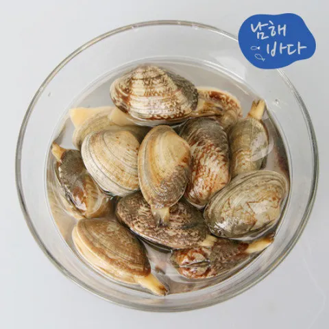 [남해바다] 바지락 2kg