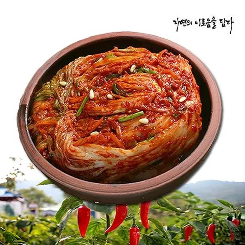 [자이담] 전라도 빛고을 포기김치 3kg
