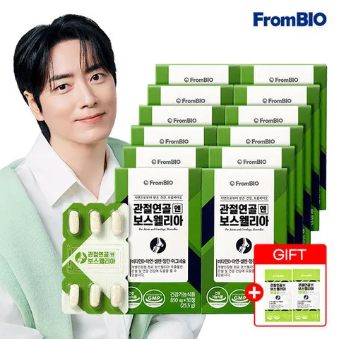 [단독특가] 관절연골엔 보스웰리아 30정*12박스/6개월