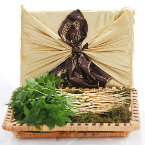 [금색보자기 선물세트] 이선호님의 새싹삼 50뿌리(15~20cm)