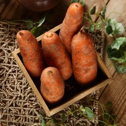 국내산 햇 흙당근 3kg(중품) 당근