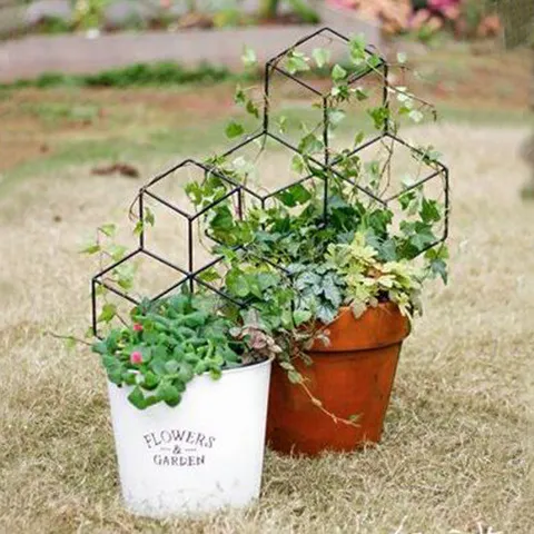 플랜트 지지대 _대-나만의 색깔있는 작은 정원