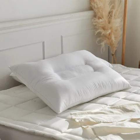 쉬즈홈 지퍼형 다운필 경추 베개솜 (40x60)