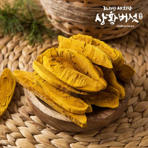 [지리산 새희망 상황버섯] 유기농 지리산 상황버섯(실속) 200g