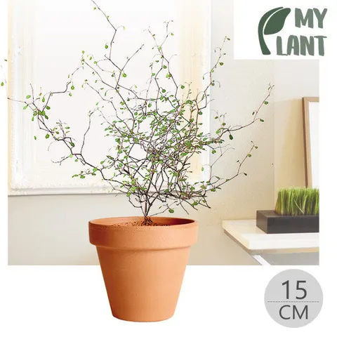 마이플랜트 바소 스탠다드 이태리토분 받침세트  토기색 15cm